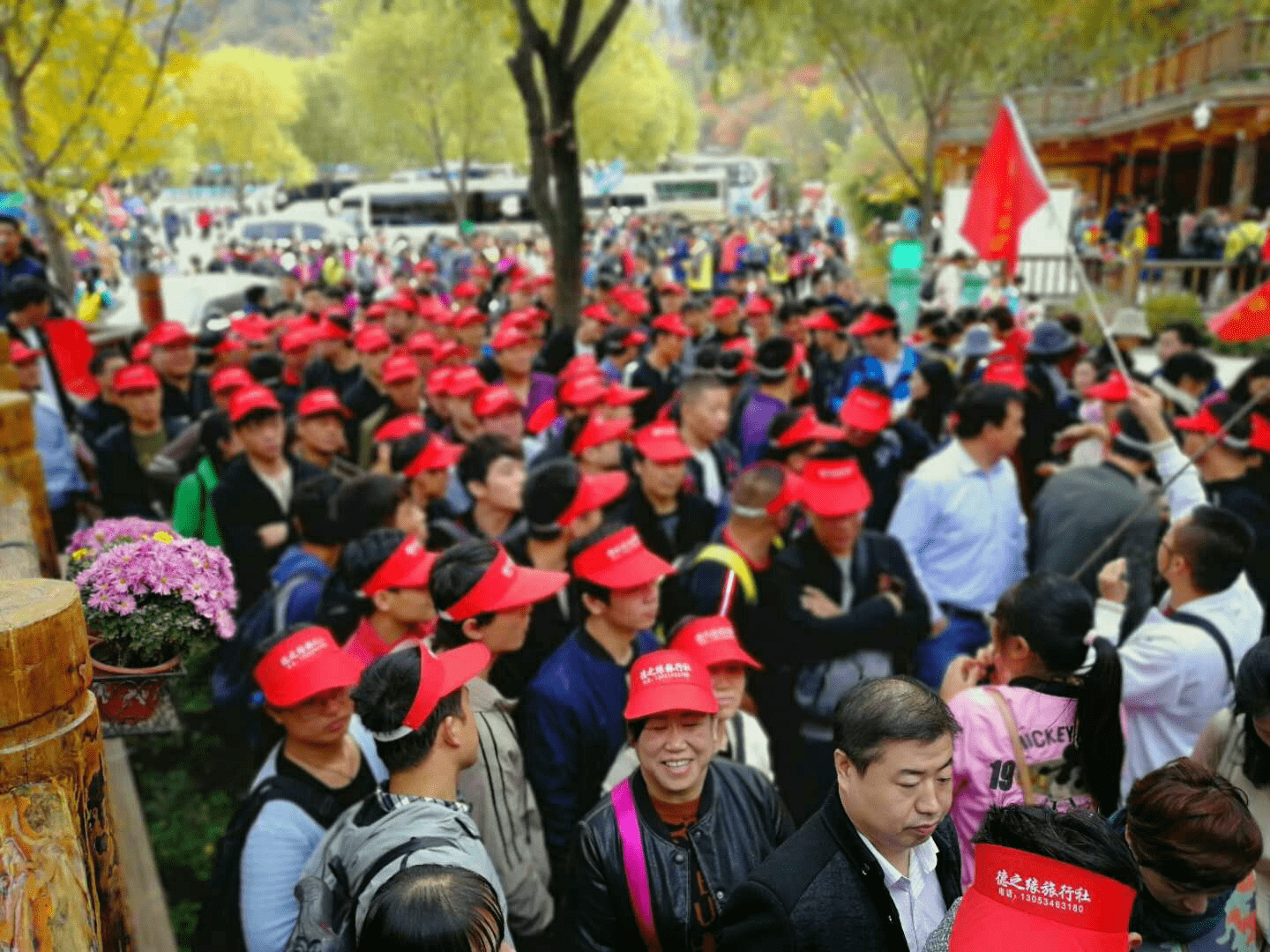 图片4